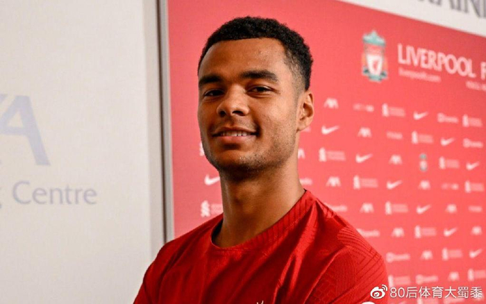 的可见度 的可见度